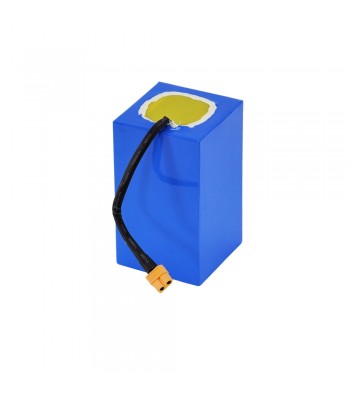 ChampDriver Battery